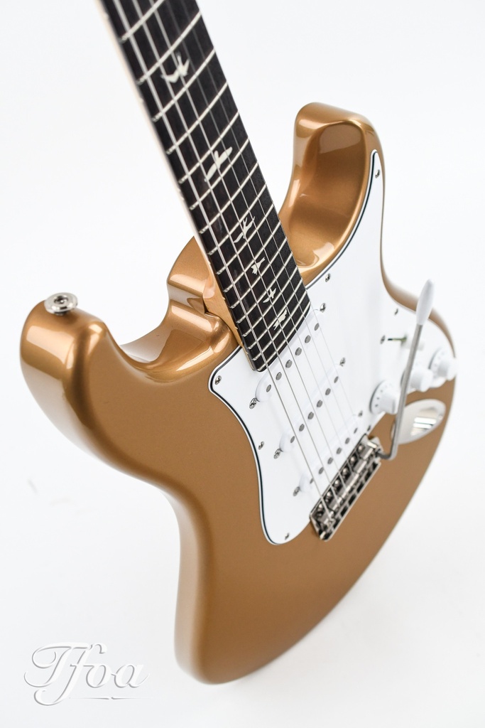 PRS John Mayer Silver Sky Golden Mesa Rosewood The Fellowship of